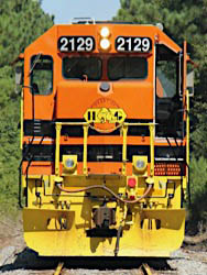 nose134