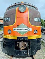 nose177