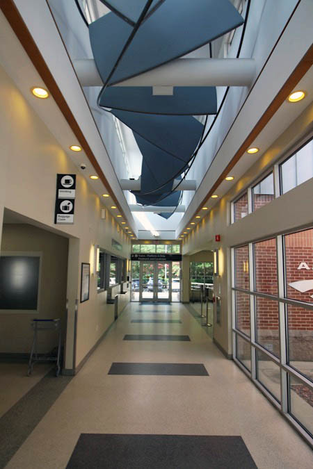 cary11