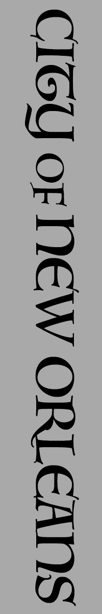 city_banner_tall