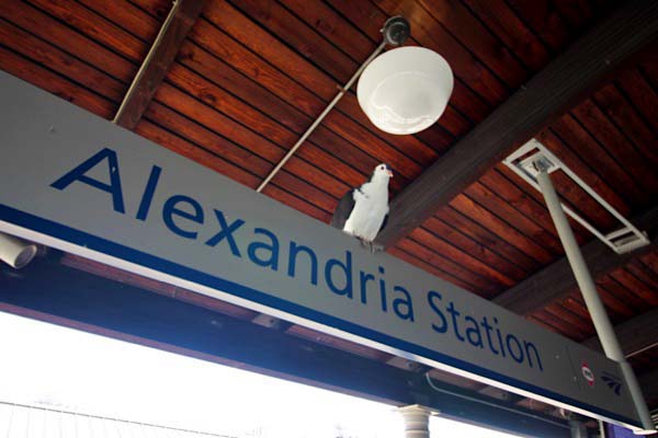 alexandria25a