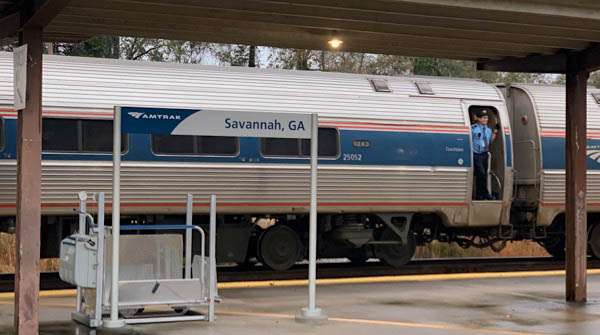 savannah3