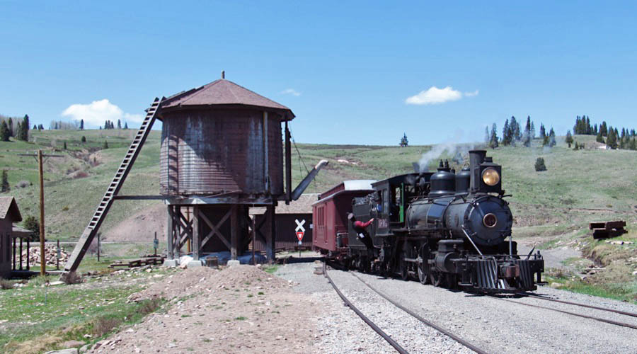 osier6