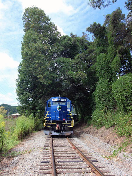 mccaysville9