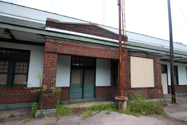 ccm19