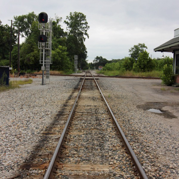 ccm31