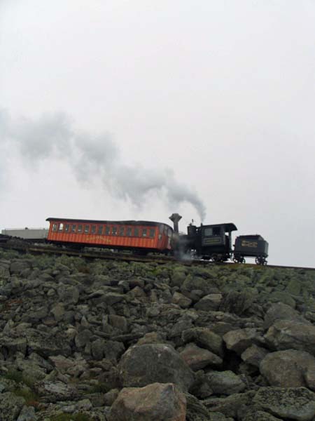 cog10d2