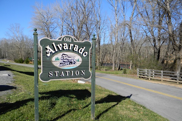 alvarado7