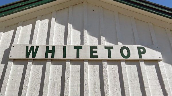 whitetop13