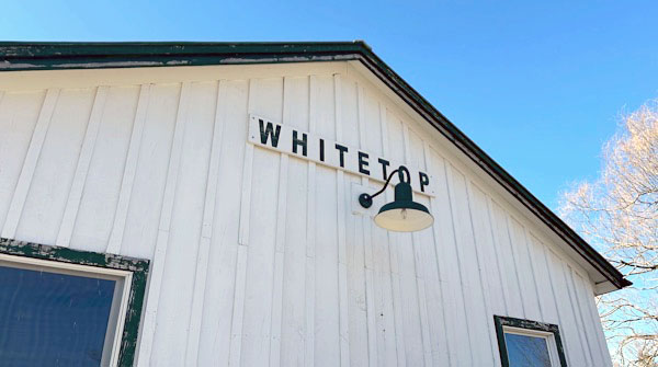 whitetop6