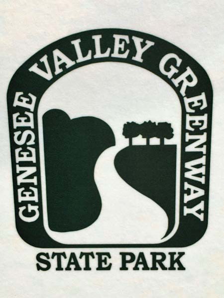 gvg29