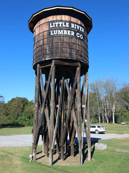 lrrm6