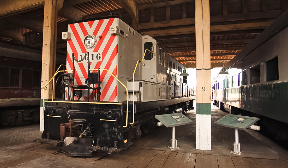 diesels_leader1