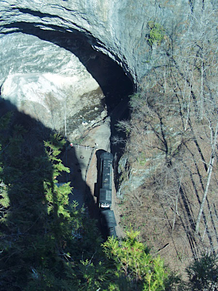 ns1