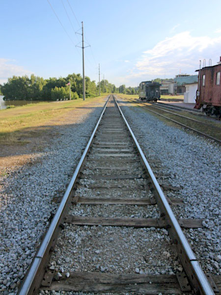 odm20