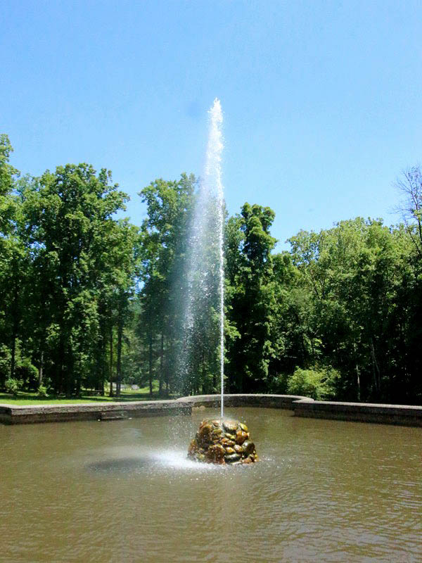 geyser2