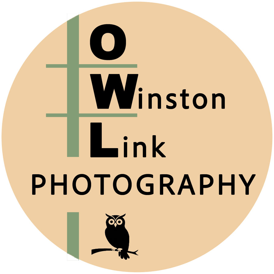 owlm_lagn10