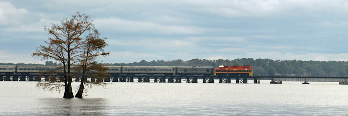 thomas11