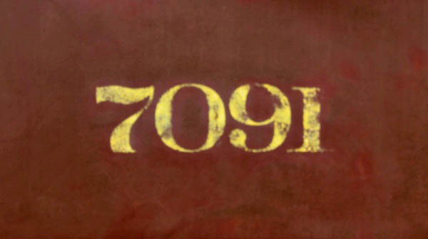 ws7091c