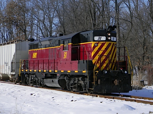 asry31d