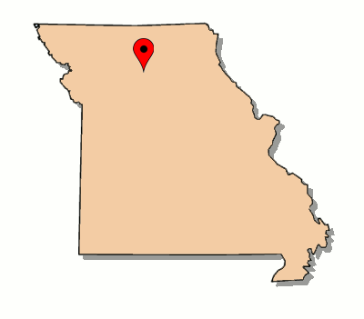 bvs_state