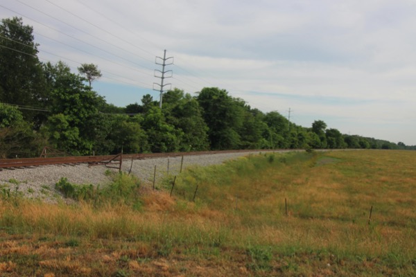 greenville_levee2020g