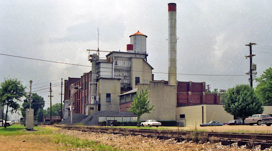 greenwood_gen1989a