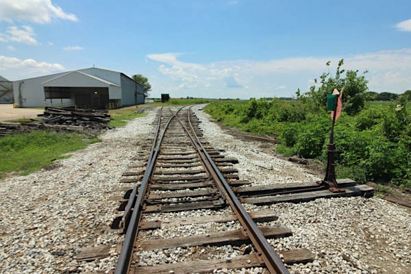 stoneville16