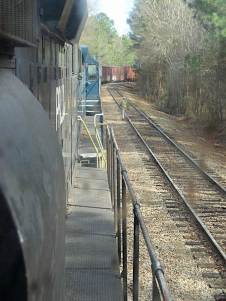 gp55