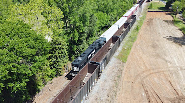 ns29