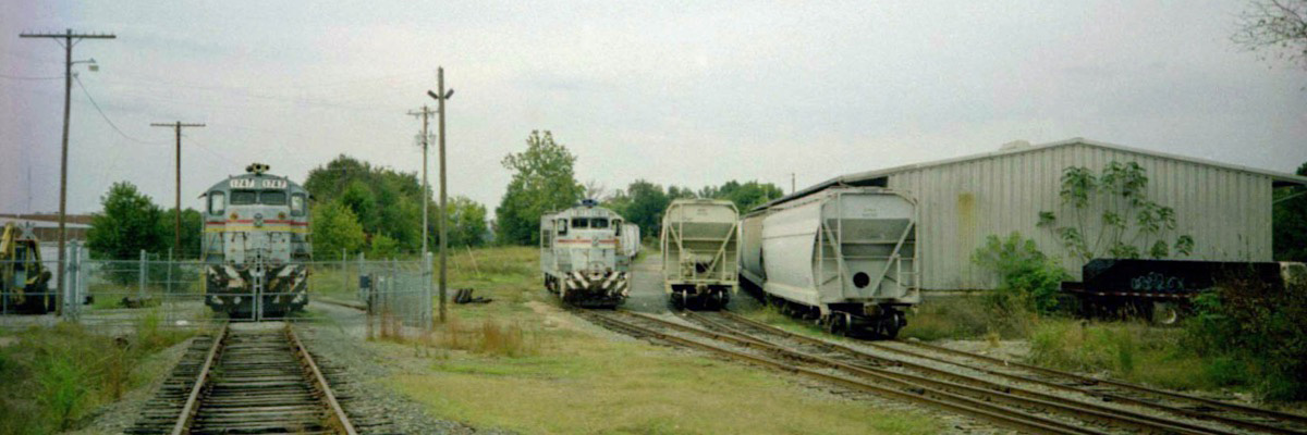 hickory1