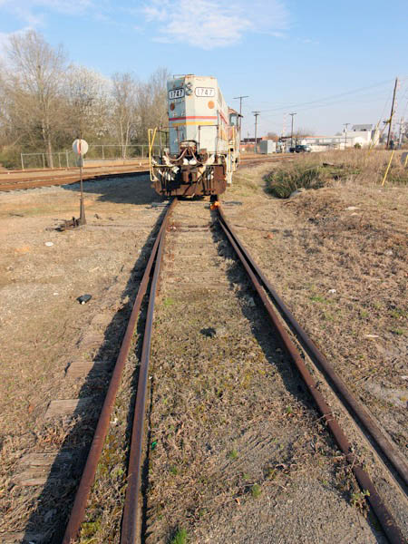 hickory16
