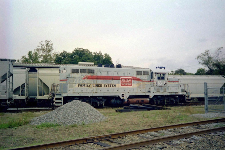 hickory4