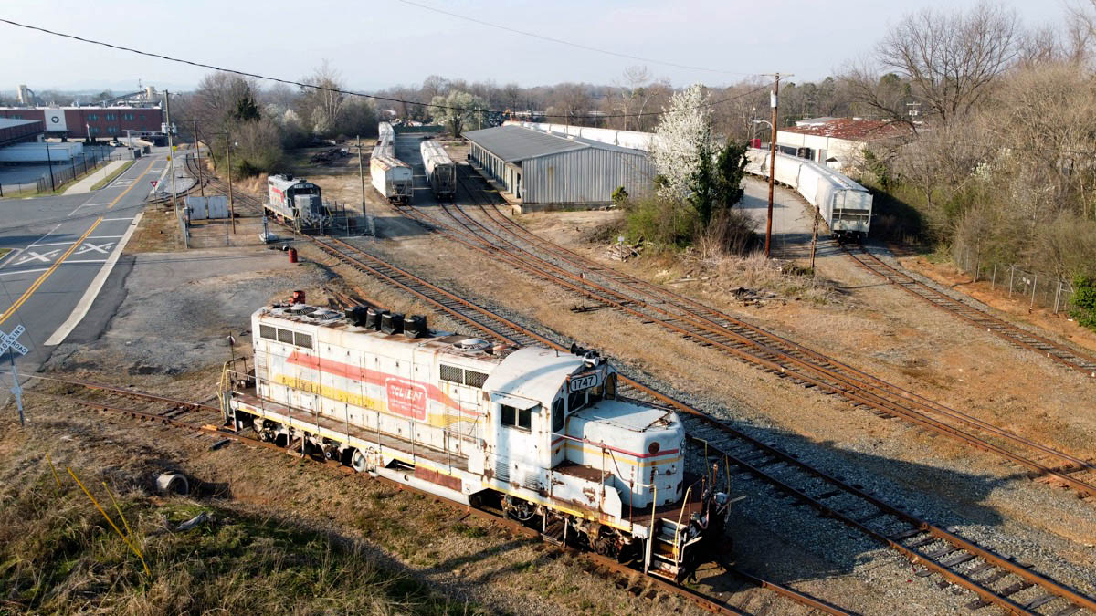 hickory7