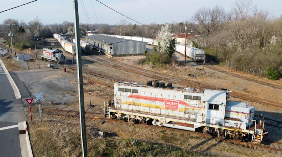 hickory8