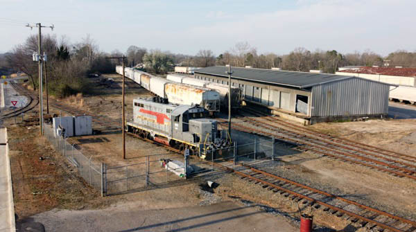 hickory9