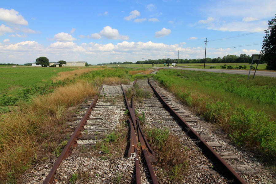rosedale3