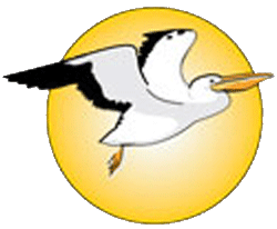 nogc_bird