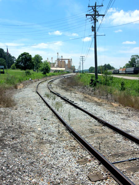 profile12