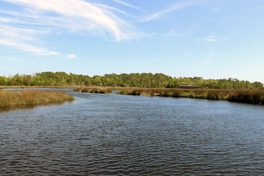 stmarys19