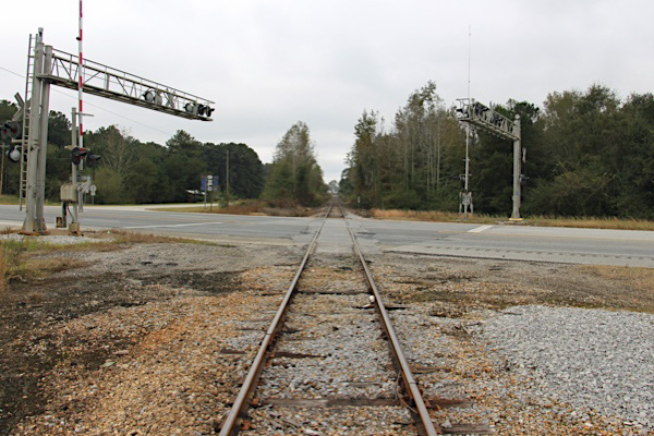 shreve3